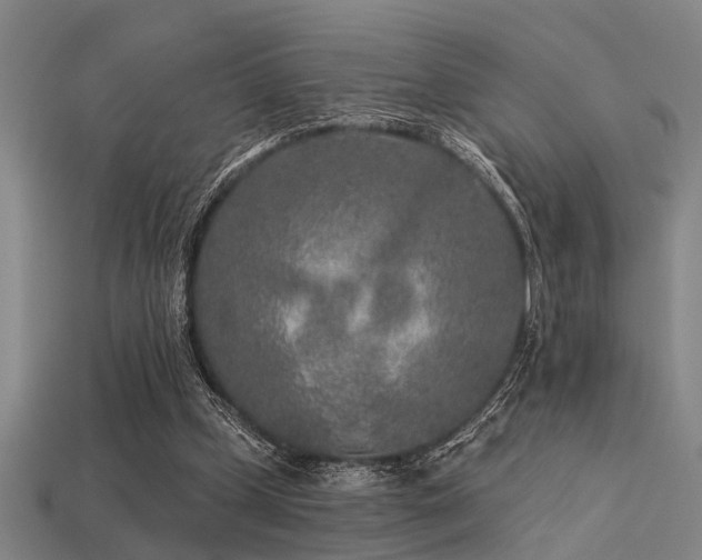 X0000113610249200909181424