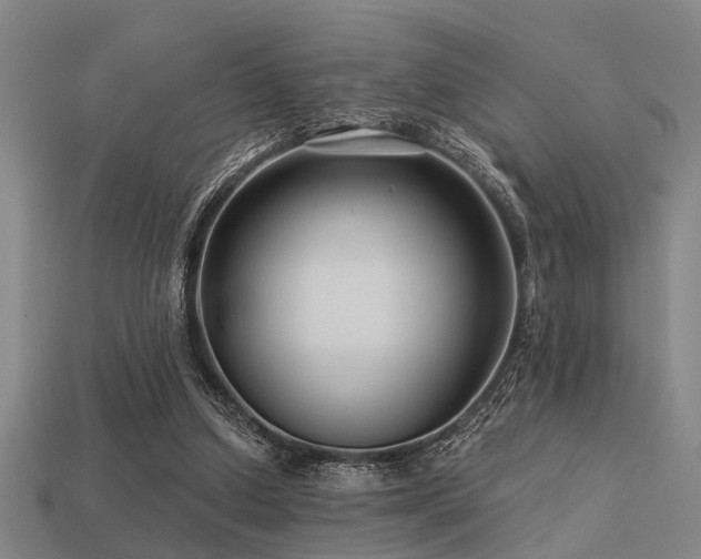 X0000113610250200909181424