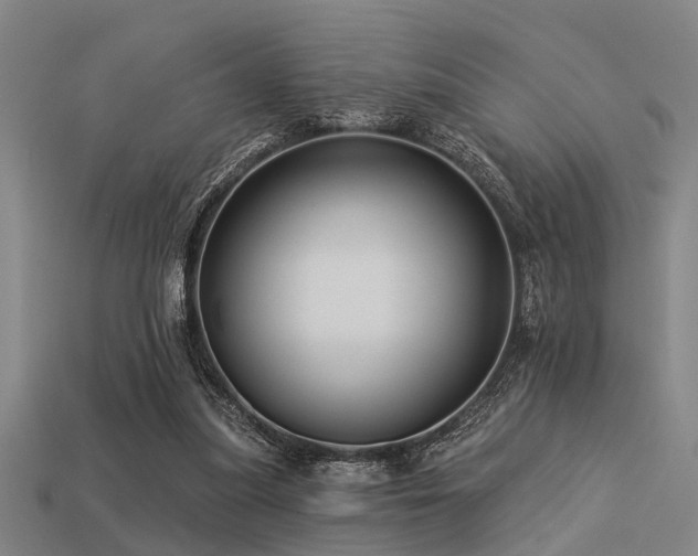 X0000113610251200909181424