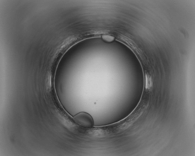 X0000113610253200909181424