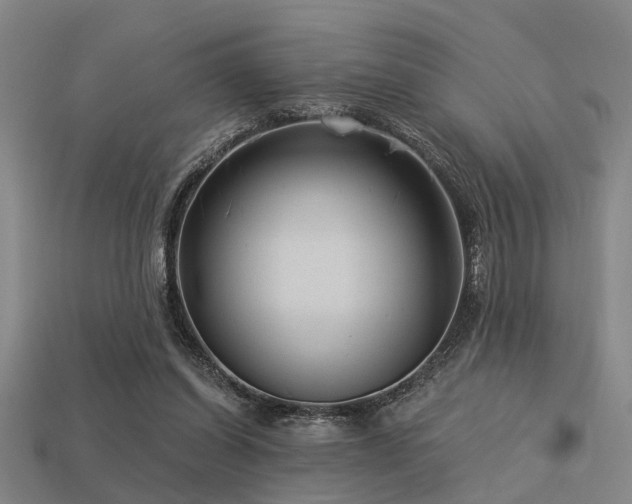 X0000113610254200909181424