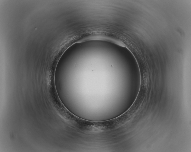 X0000113610255200909181425