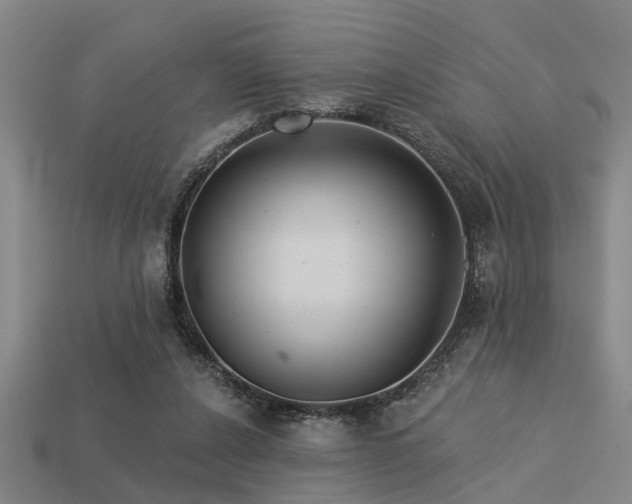 X0000113610256200909181425