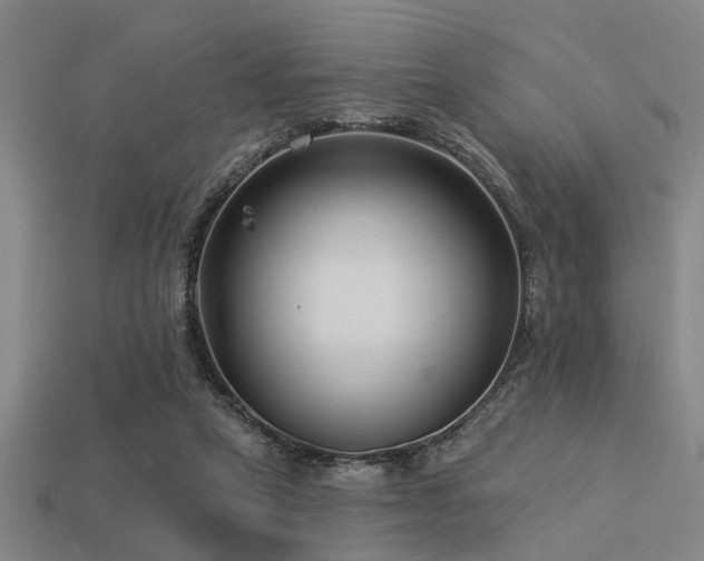 X0000113610257200909181425