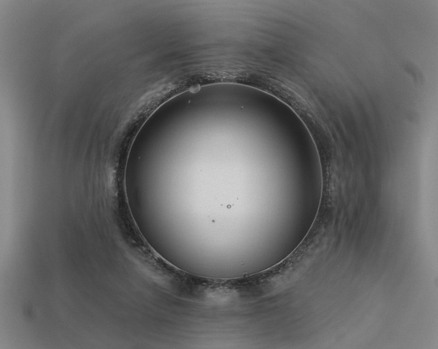 X0000113610258200909181425