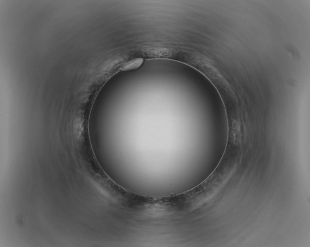 X0000113610259200909181425