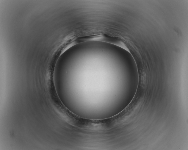 X0000113610260200909181425