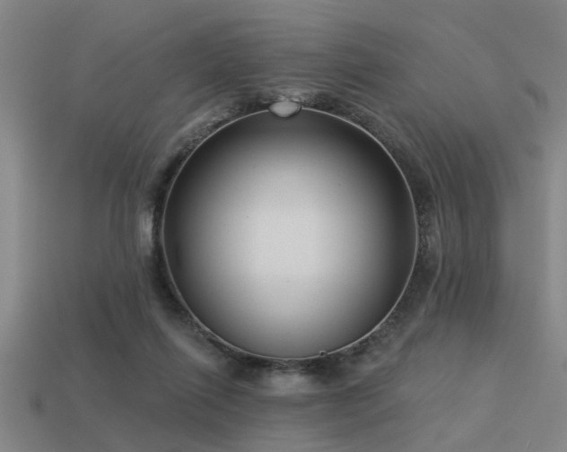 X0000113610262200909181425