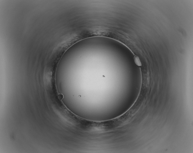 X0000113610263200909181425