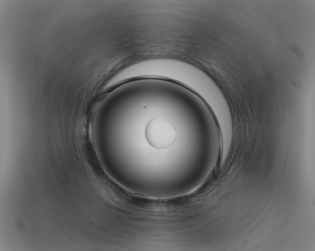 X0000113610264200909181425