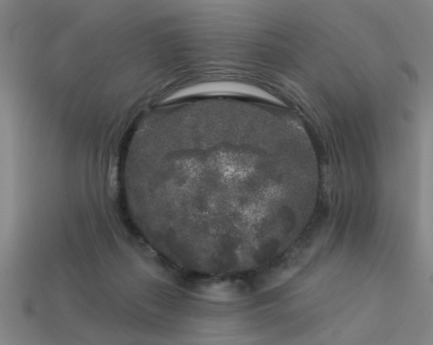 X0000113610267200909181425