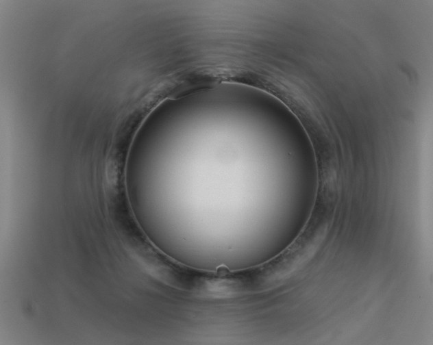 X0000113610268200909181425