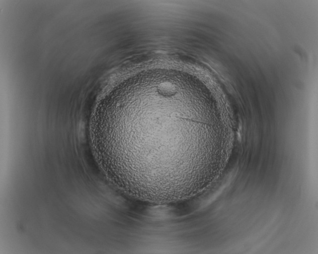 X0000113610269200909181425