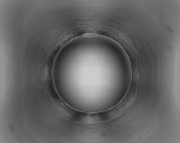 X0000113610270200909181425