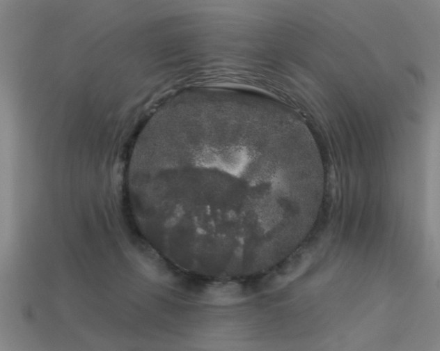 X0000113610271200909181425