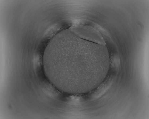 X0000113610272200909181425