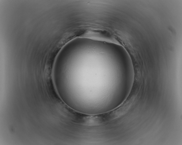 X0000113610273200909181425