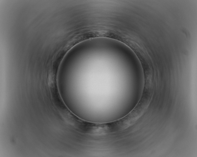 X0000113610274200909181425