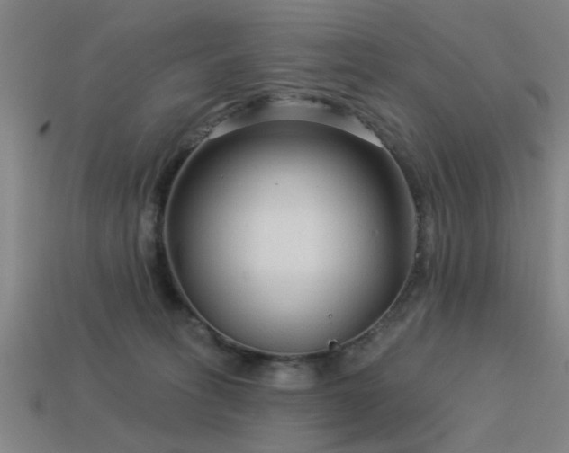 X0000113610275200909181425