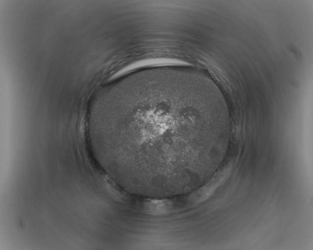 X0000113610277200909181425