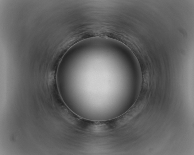 X0000113610278200909181425