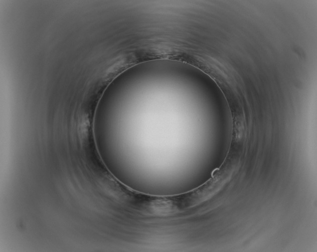 X0000113610279200909181425