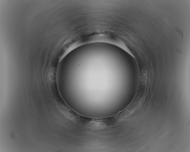 X0000113610280200909181425