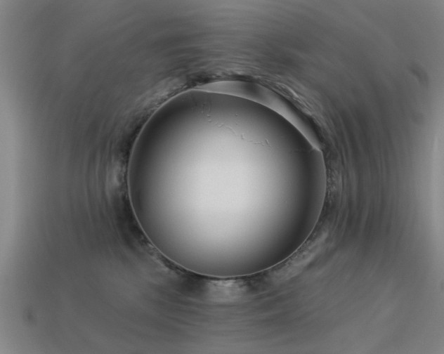 X0000113610281200909181425