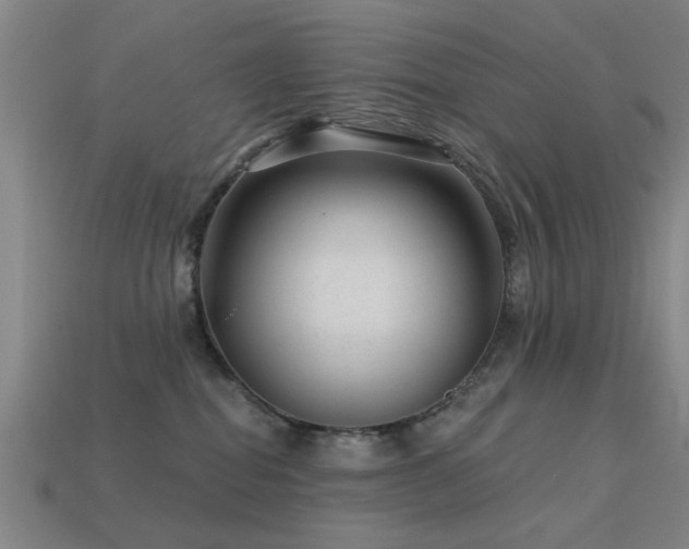 X0000113610282200909181425