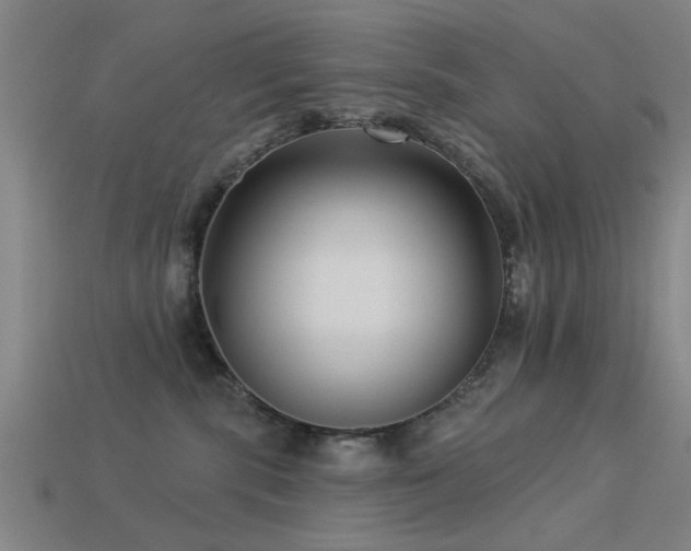 X0000113610283200909181425