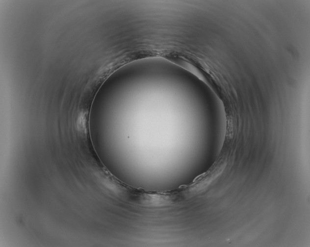 X0000113610286200909181425