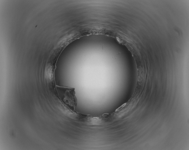 X0000113610287200909181425