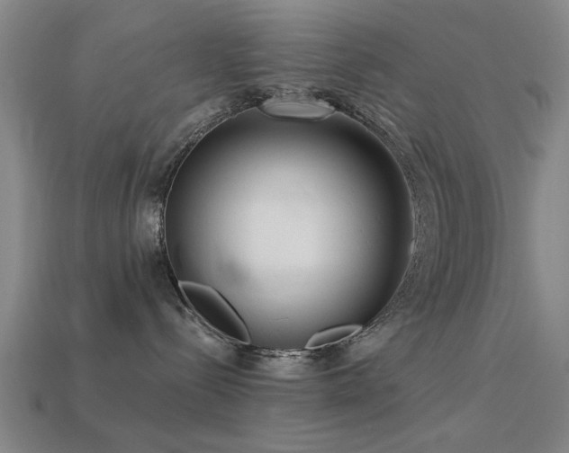 X0000113610288200909181425