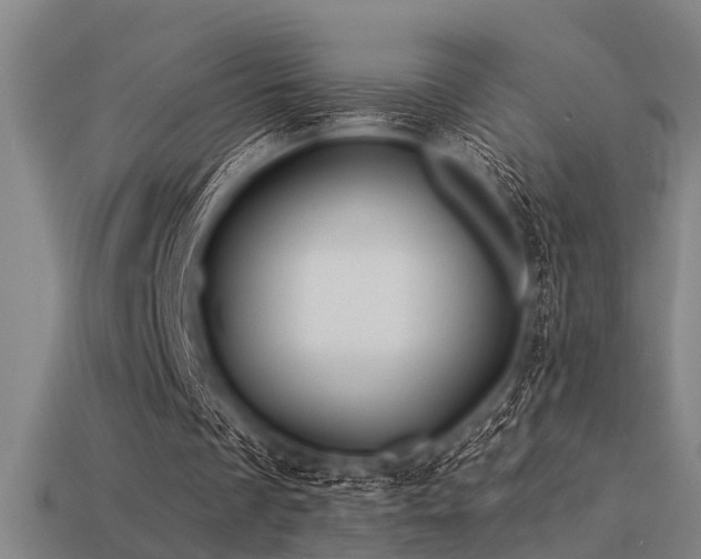 X0000113610289200909181424