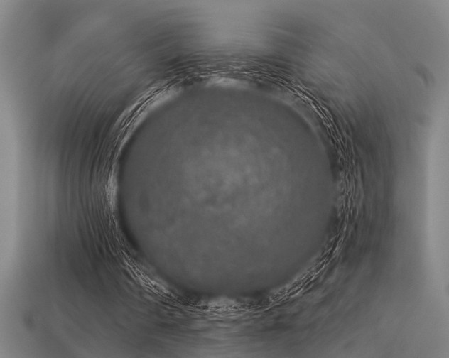 X0000113610290200909181424