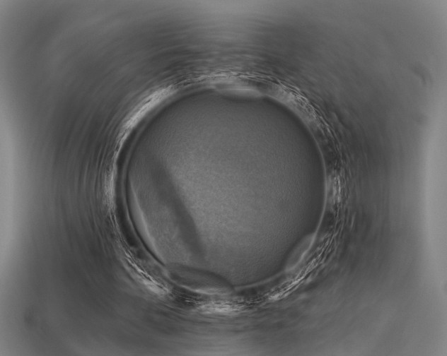 X0000113610292200909181424