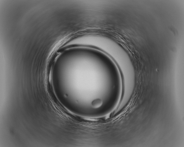 X0000113610293200909181424