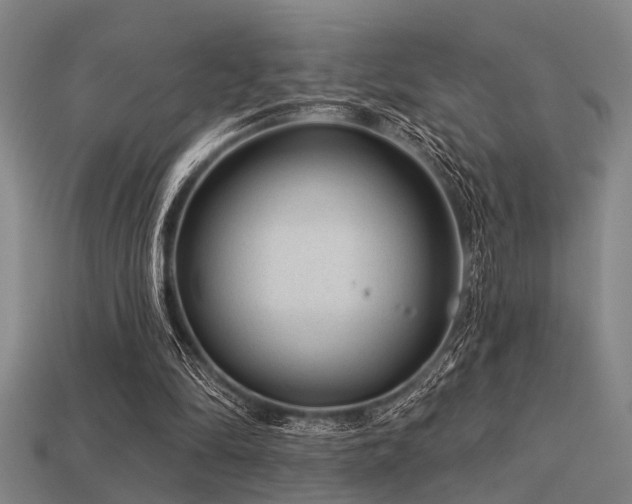 X0000113610294200909181424