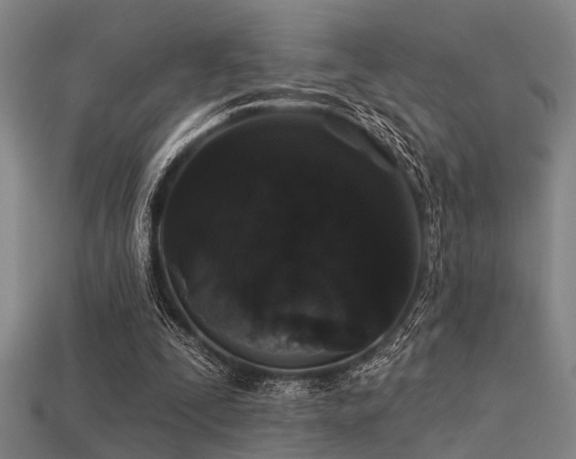 X0000113610295200909181424