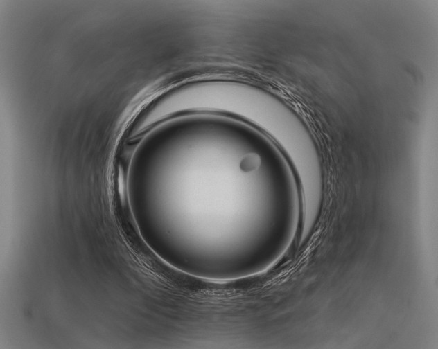 X0000113610296200909181424