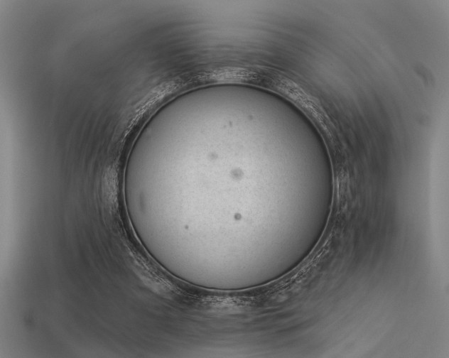 X0000113610297200909181424