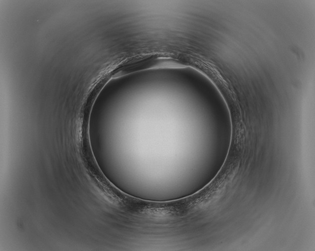 X0000113610299200909181424