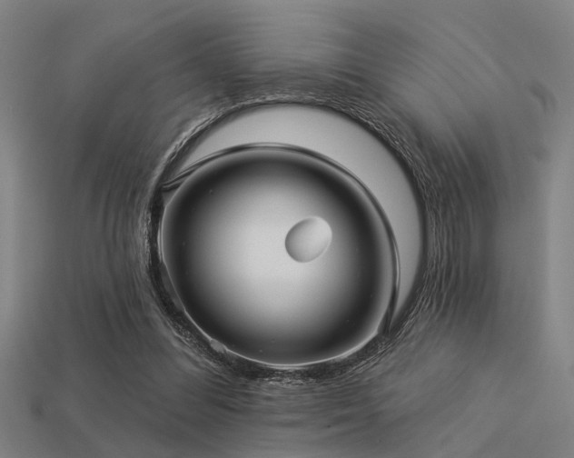 X0000113610300200909181424