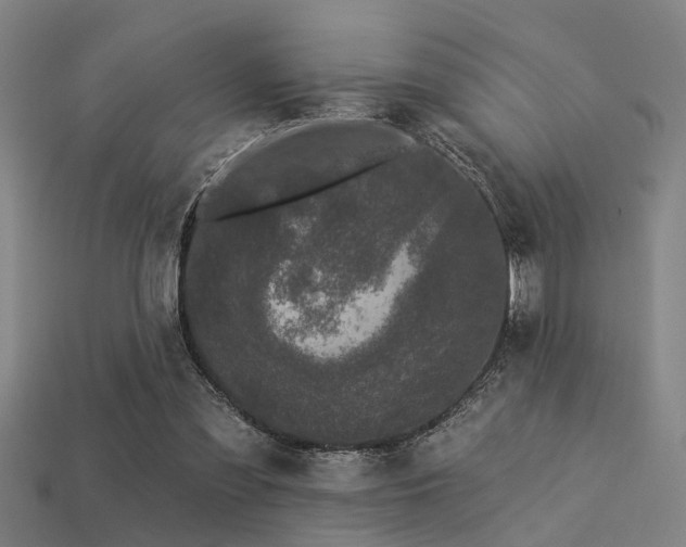 X0000113610301200909181424