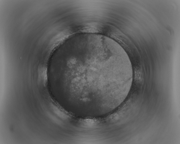 X0000113610302200909181424