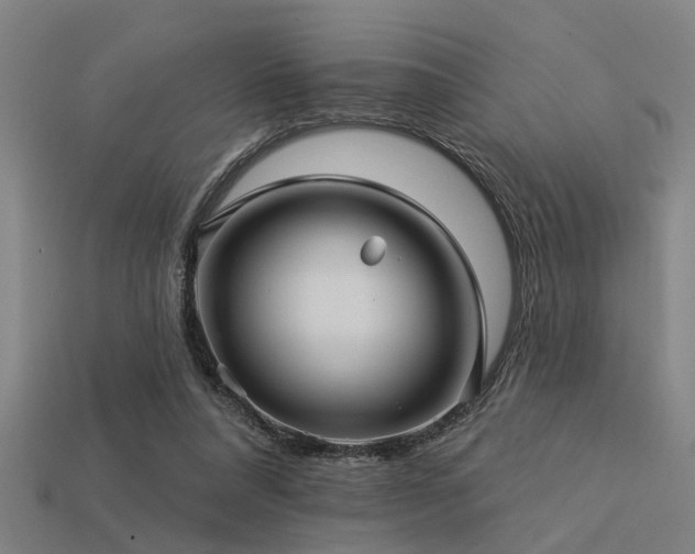 X0000113610304200909181424