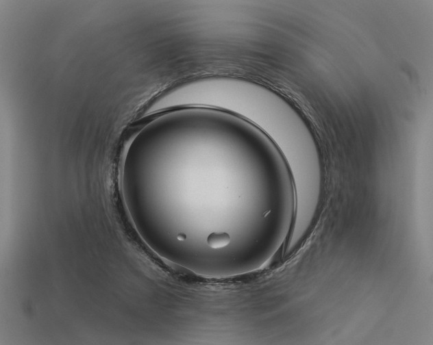 X0000113610305200909181424