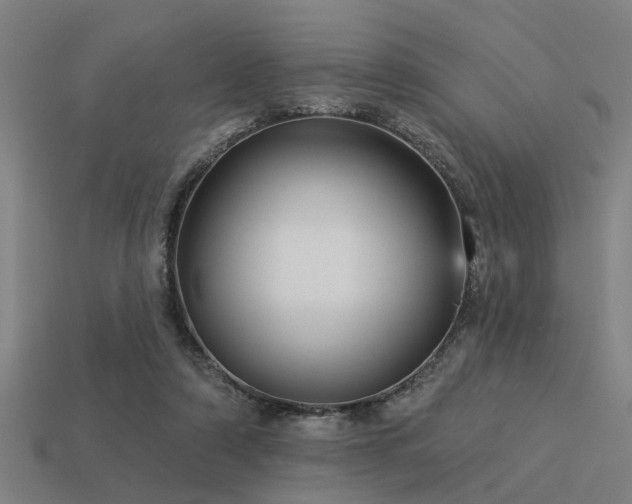 X0000113610306200909181424