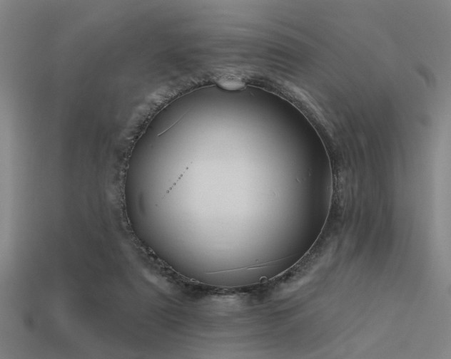 X0000113610307200909181424