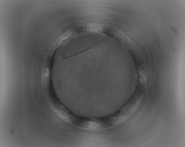 X0000113610308200909181424